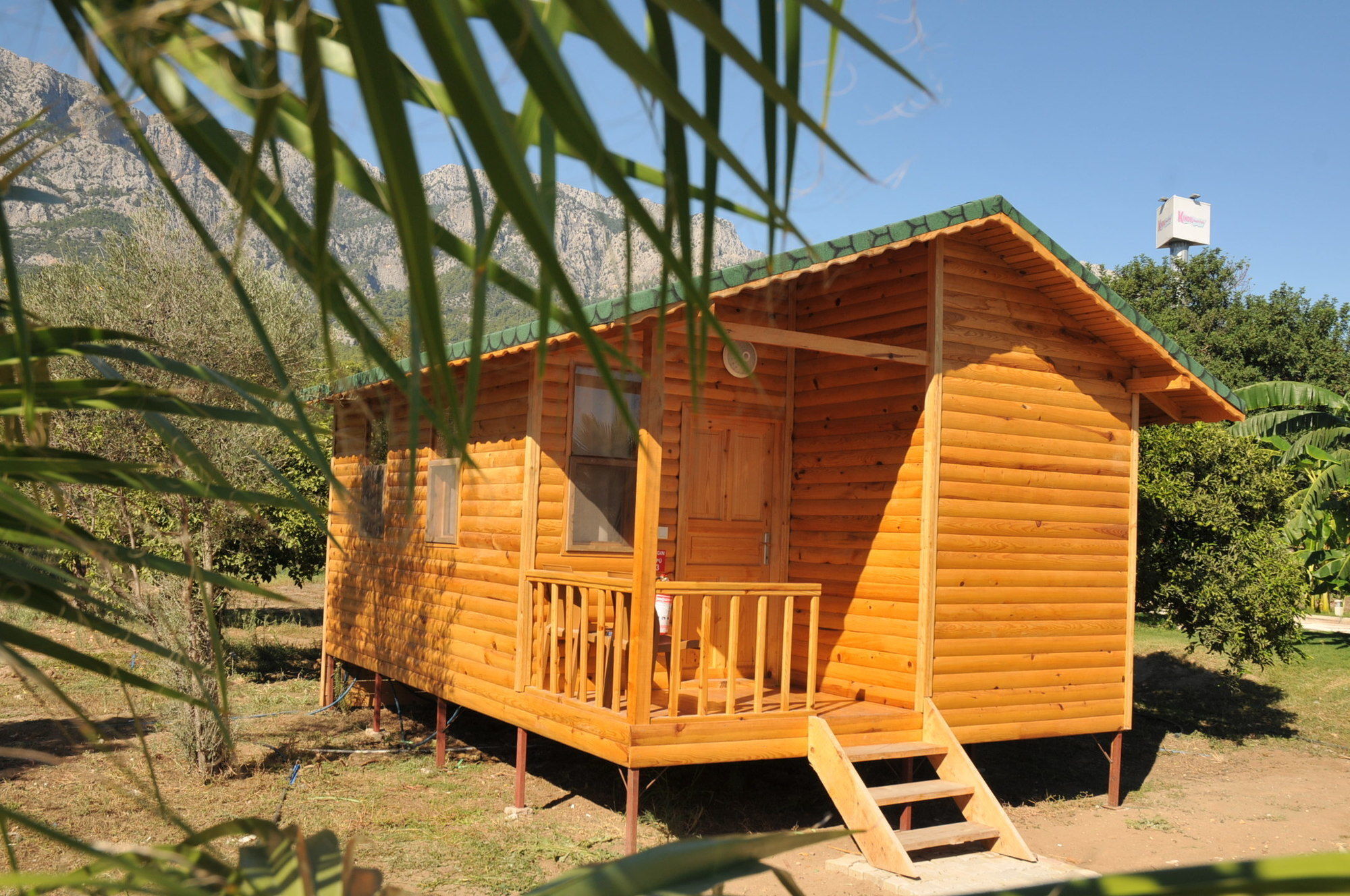 Elamir Resort Hotel Kemer Exterior foto